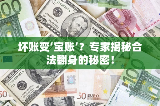 北京坏账变‘宝账’?专家揭秘合法翻身的秘密! 北京坏账变‘宝账’?专家揭秘合法翻身的秘密!
